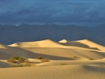 distant dunes