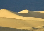 distant "dune" people