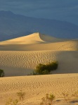 single dune
