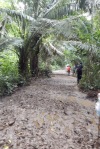 a muddy hike ahead